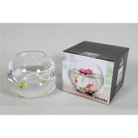 Pecera de Cristal 